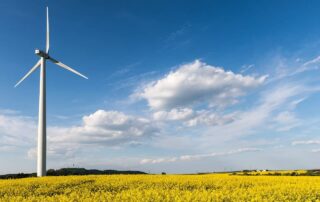 Esempi di sviluppo sostenibile, energia eolica